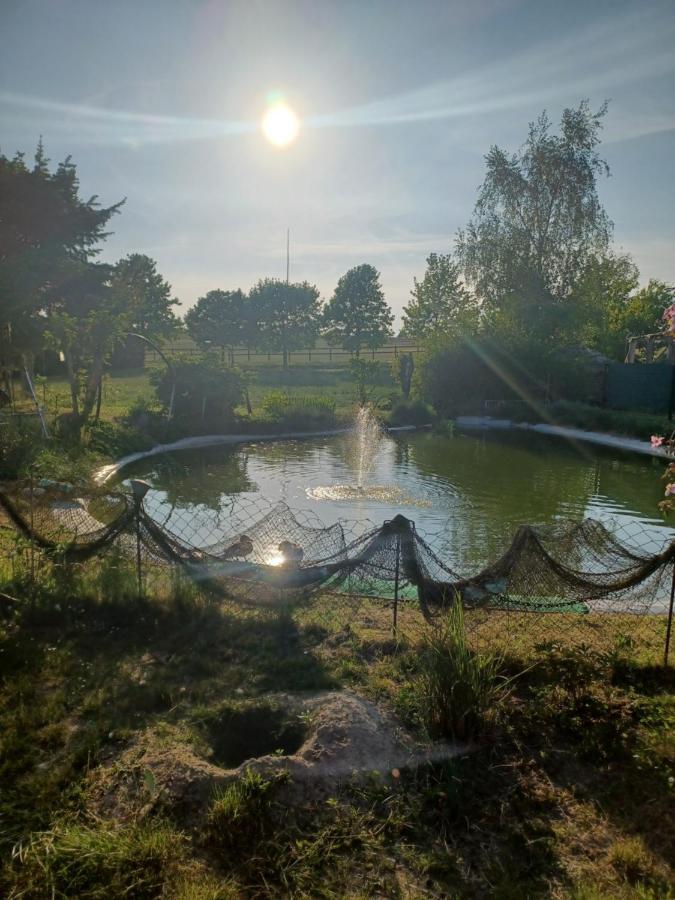 Zimmer Und Apartment Rosi Krakow am See Kültér fotó