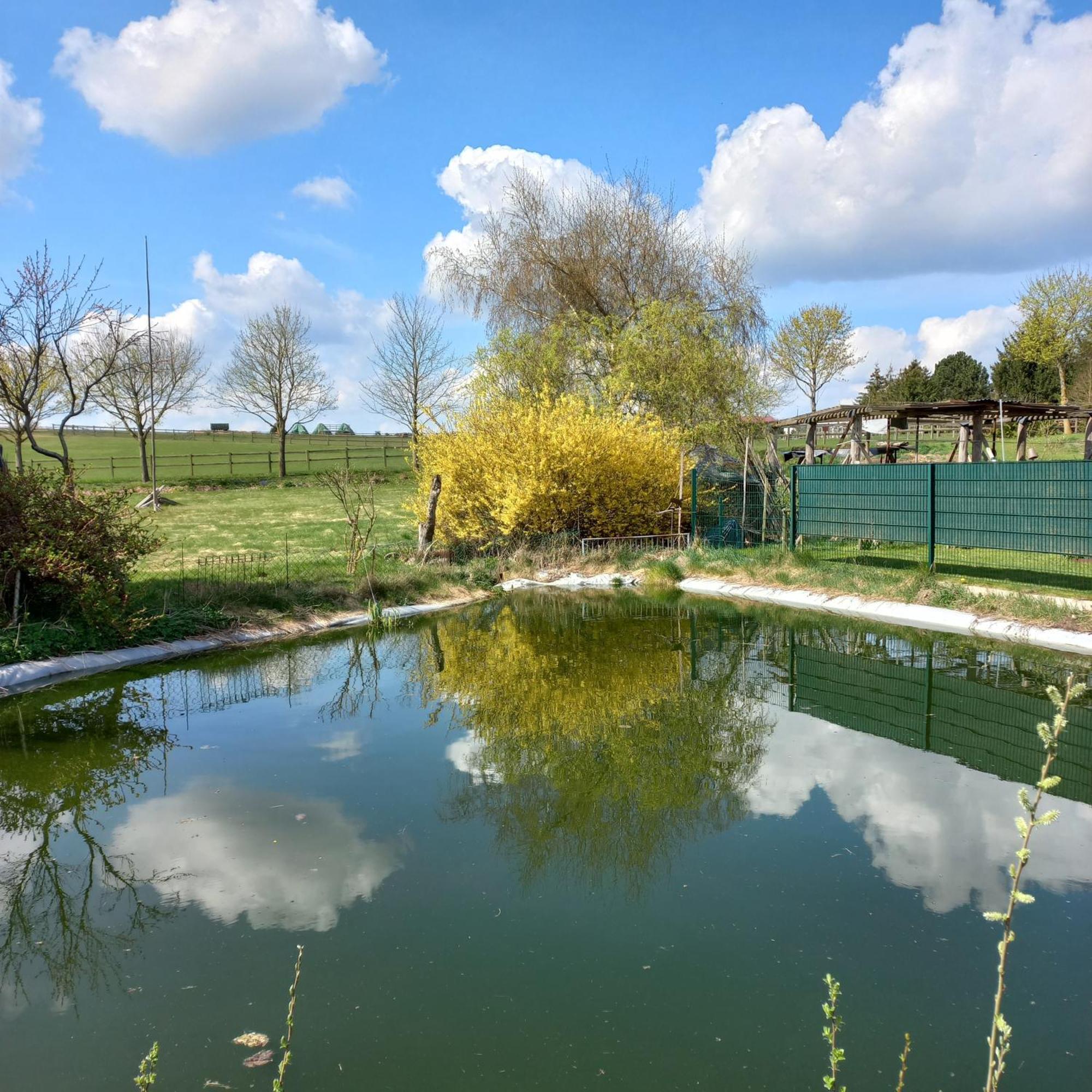 Zimmer Und Apartment Rosi Krakow am See Kültér fotó